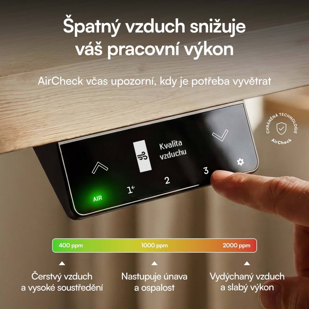 foto130.jpg