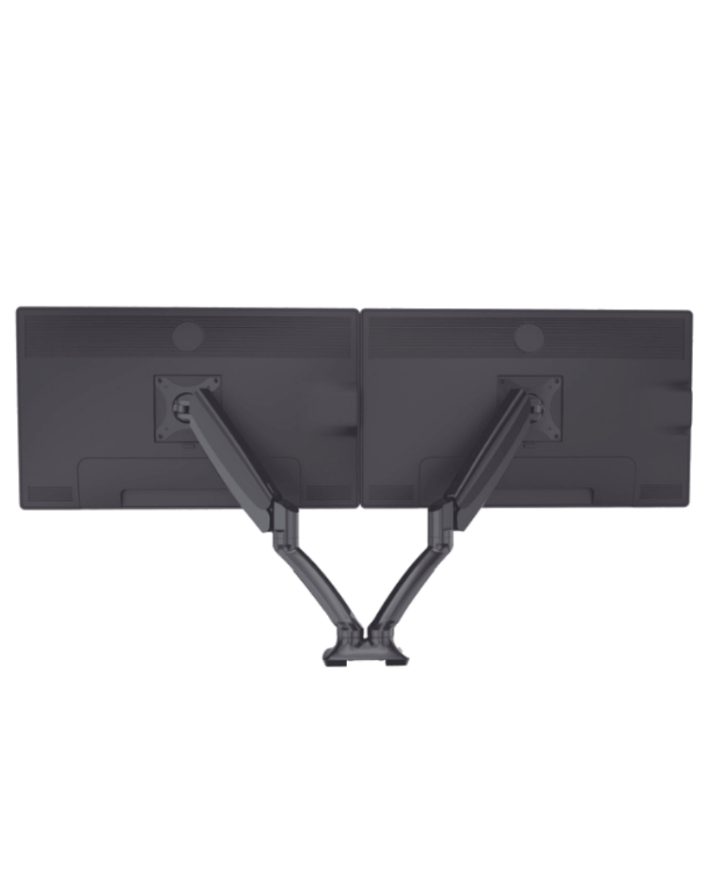 foto18.png